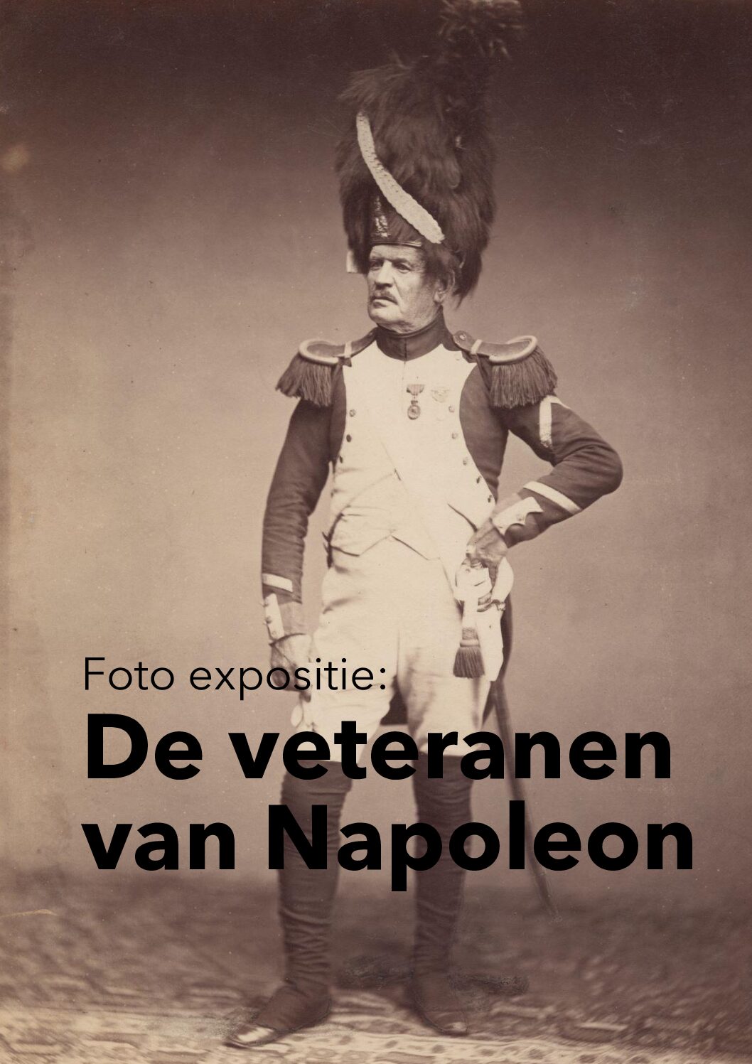 De veteranen van Napoleon